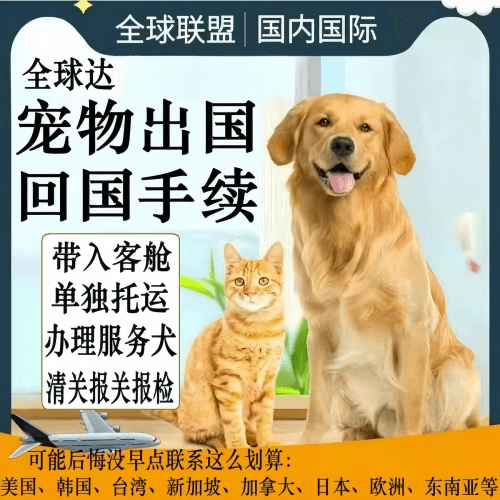 长春宠物托运到柬埔寨宠物入境规定和要求