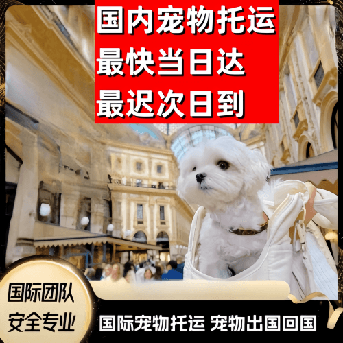 长春到澳大利亚（澳洲）宠物入境规定和要求