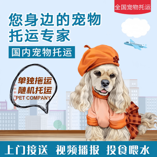 满财长春宠物全球达宠物托运作为专业的宠物运输代理机构